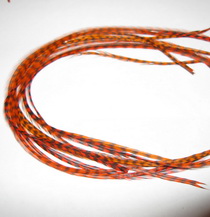 ���� Dry Fly (��� ����� ���) 10 �� ������ ���������  , ������ � 12-14